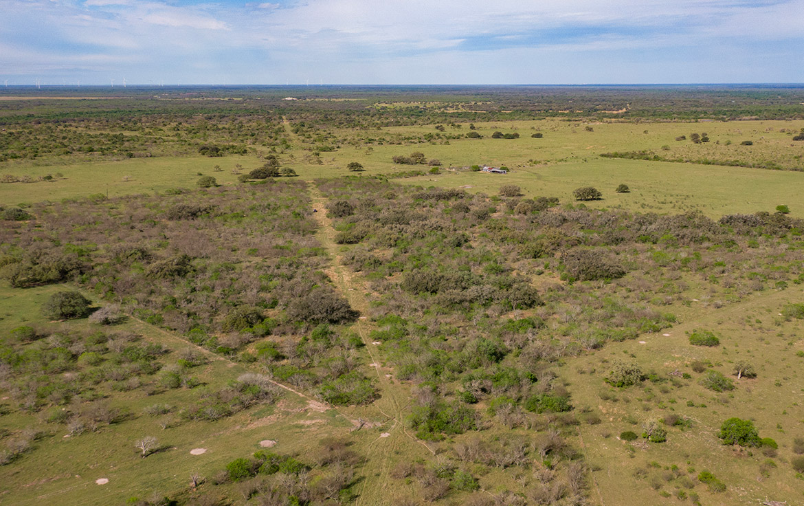 Bracket T Ranch 71 Acre Ranch Refugio County Image 12