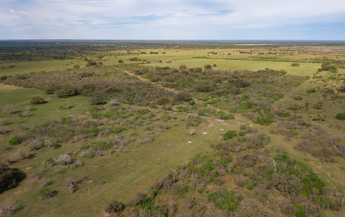 Bracket T Ranch 71 Acre Ranch Refugio County Image 13