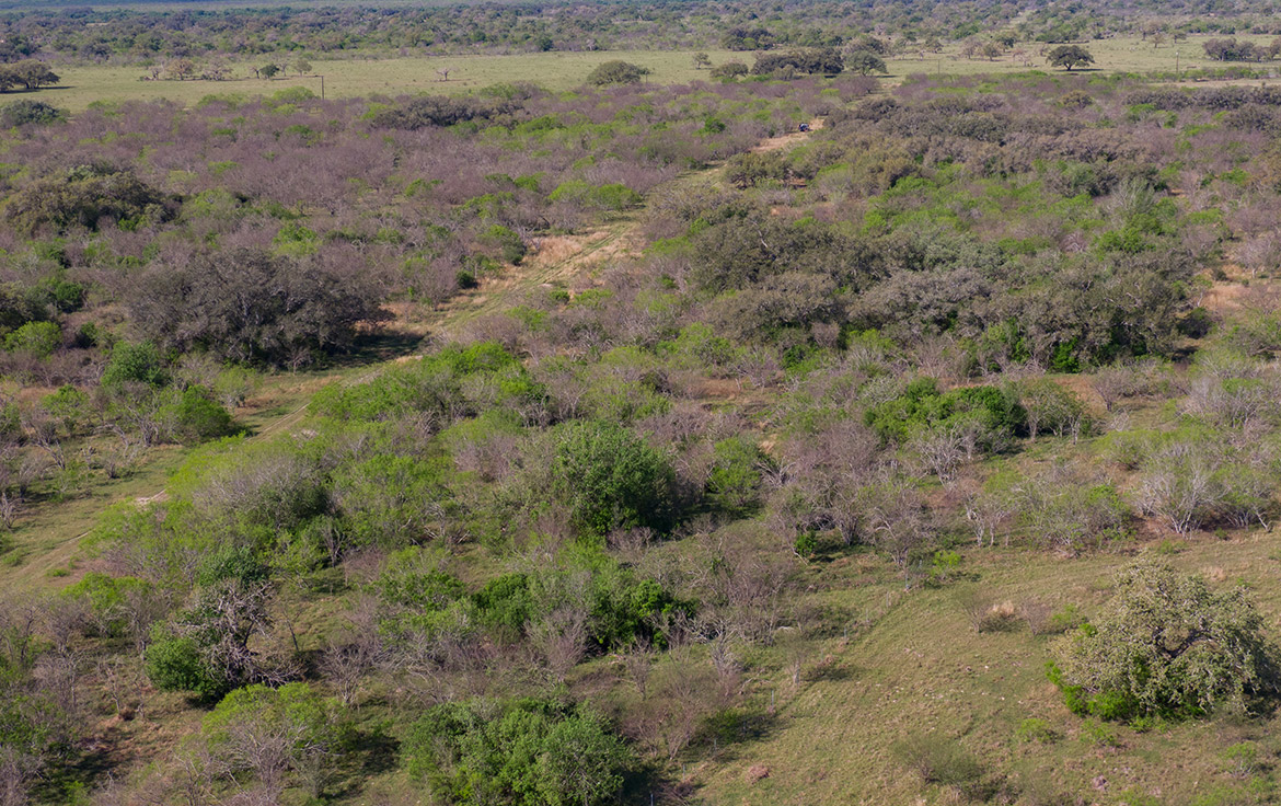 Bracket T Ranch 71 Acre Ranch Refugio County Image 7