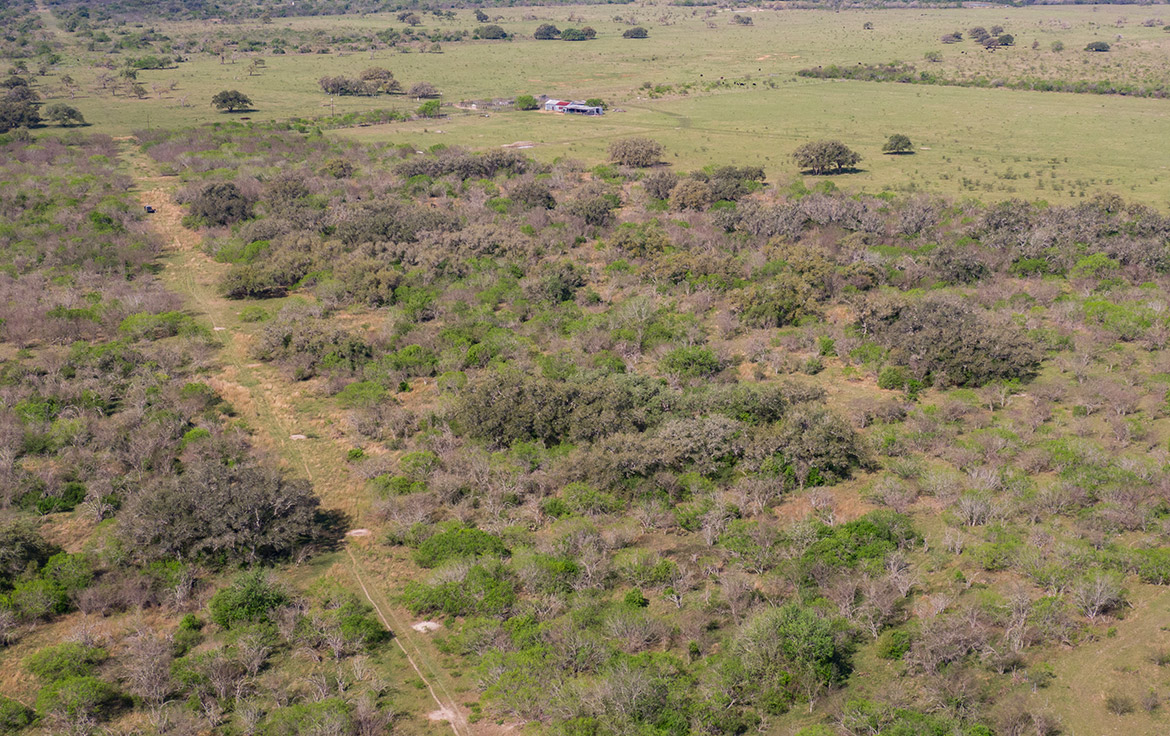 Bracket T Ranch 71 Acre Ranch Refugio County Image 8