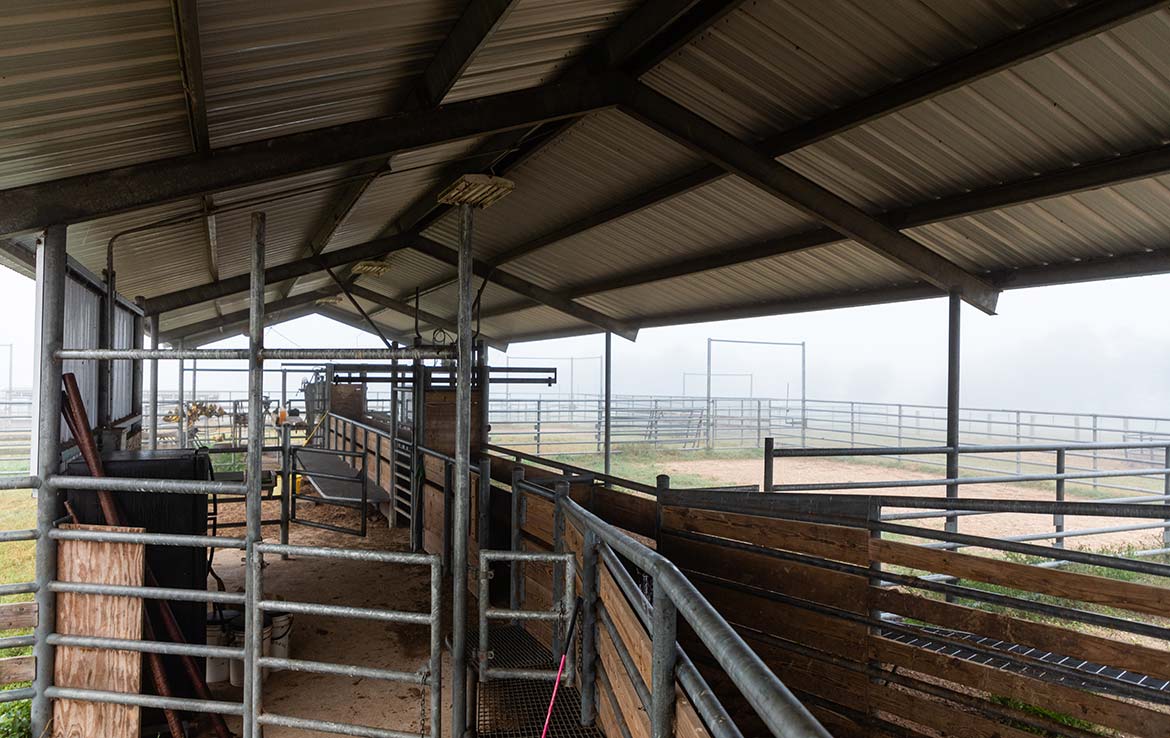 15 Mile Creek Ranch 1188 Acre Ranch Victoria County Image 12