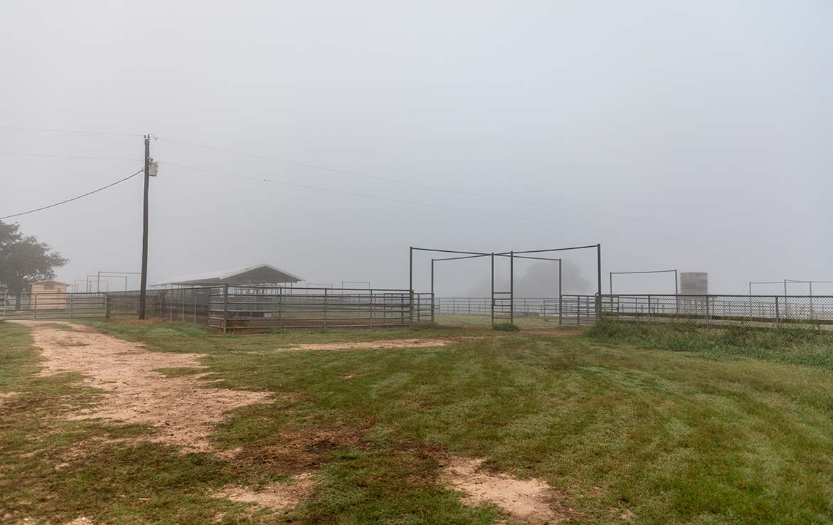 15 Mile Creek Ranch 1188 Acre Ranch Victoria County Image 15