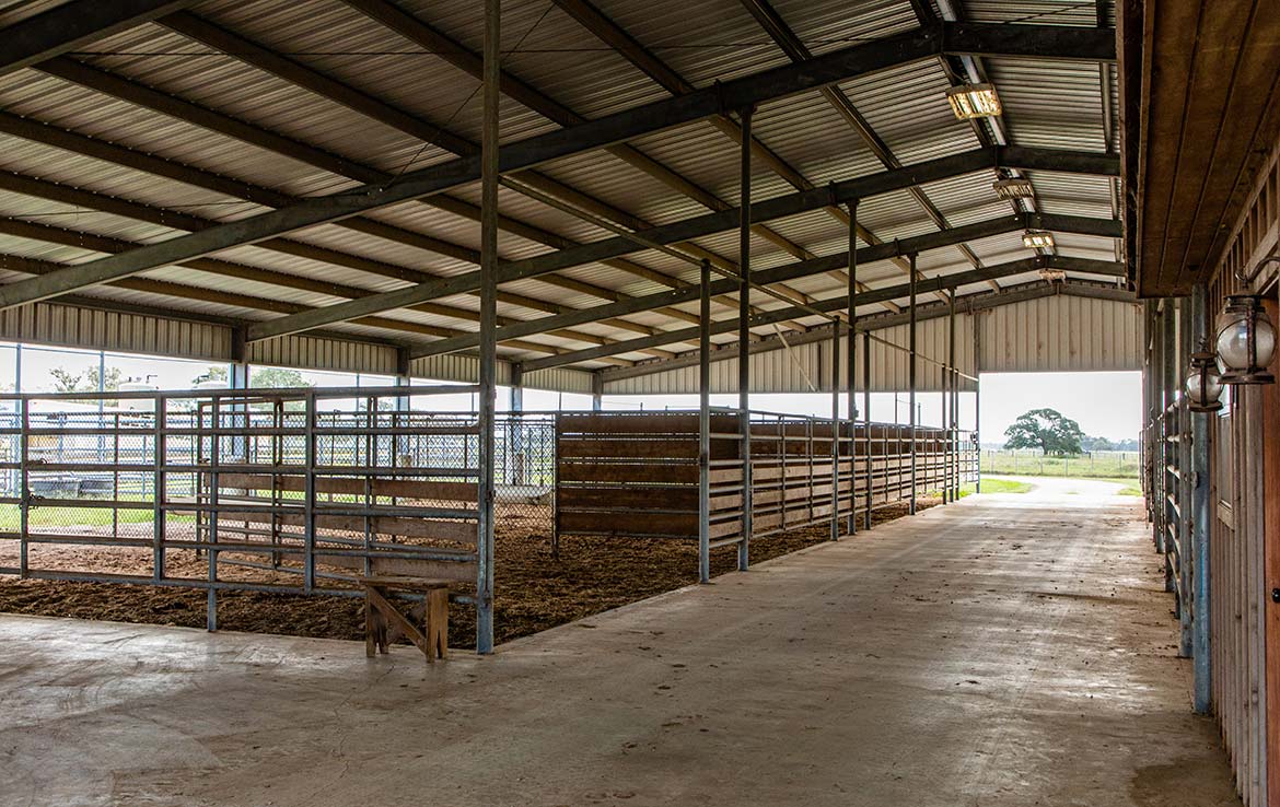 15 Mile Creek Ranch 1188 Acre Ranch Victoria County Image 19