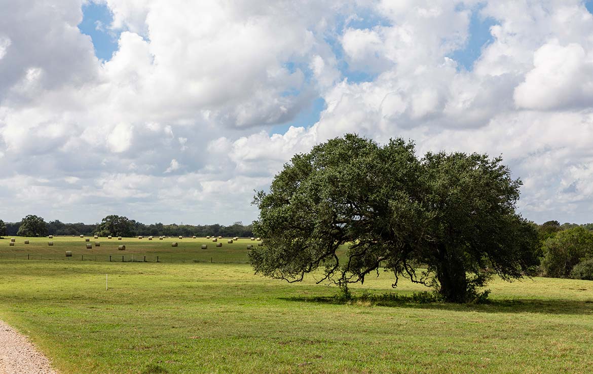 15 Mile Creek Ranch 1188 Acre Ranch Victoria County Image 22