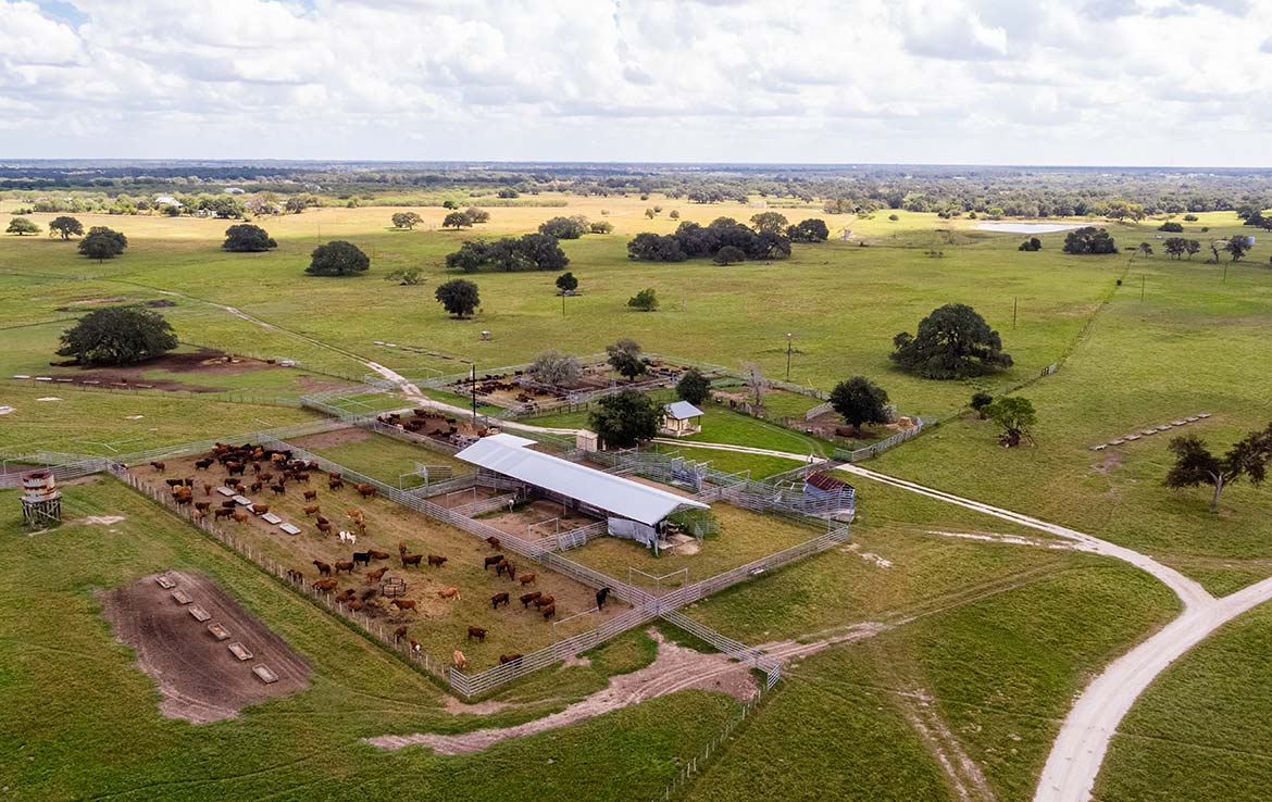 15 Mile Creek Ranch 1188 Acre Ranch Victoria County Image 28