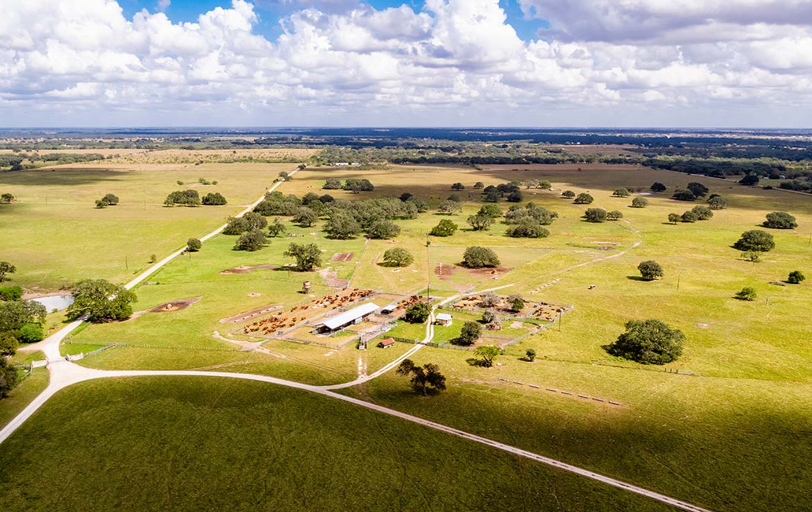 15 Mile Creek Ranch 1188 Acre Ranch Victoria County Image 29