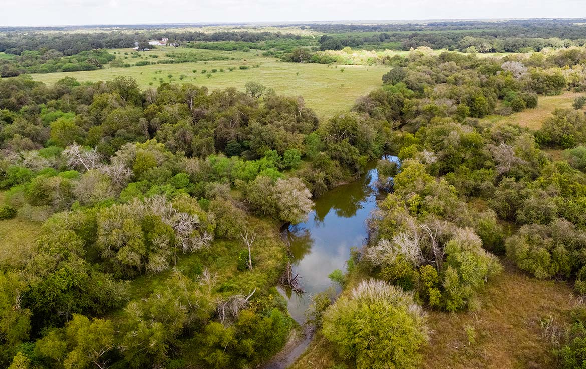 15 Mile Creek Ranch 1188 Acre Ranch Victoria County Image 30