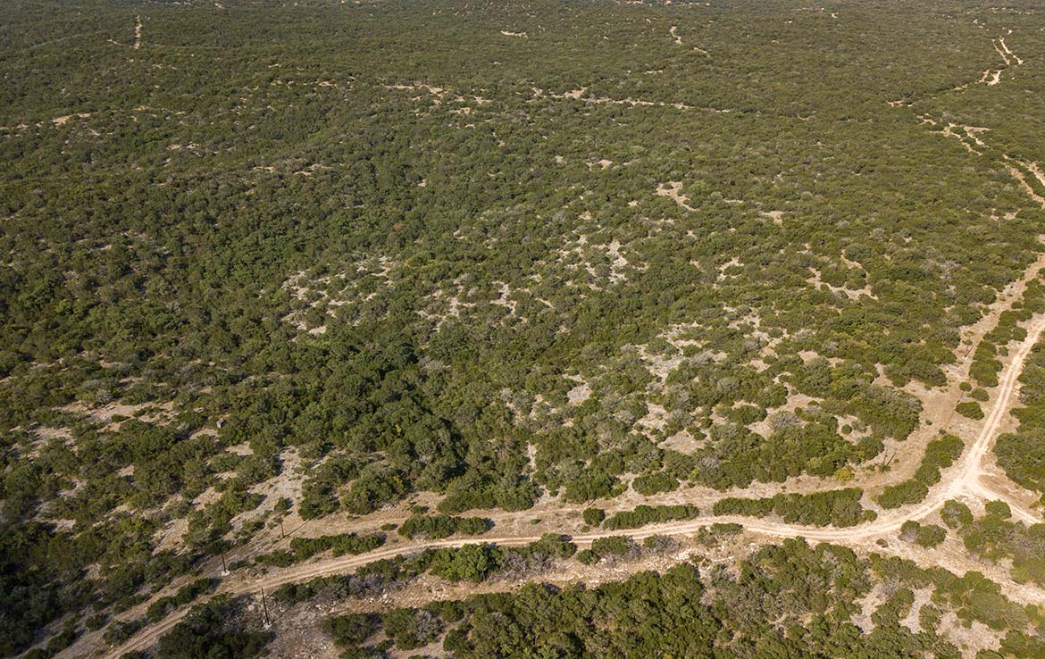Venado Ranch 391 Acre Ranch Edwards County Image 15