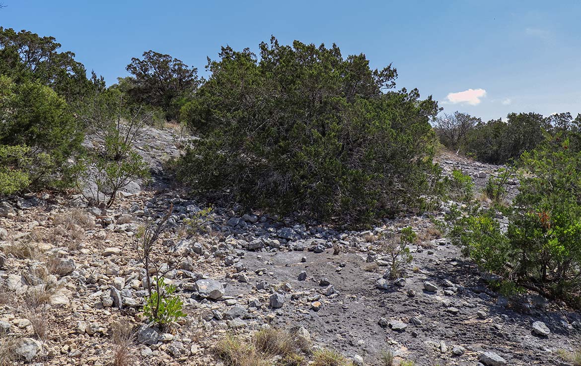 Venado Ranch 391 Acre Ranch Edwards County Image 2