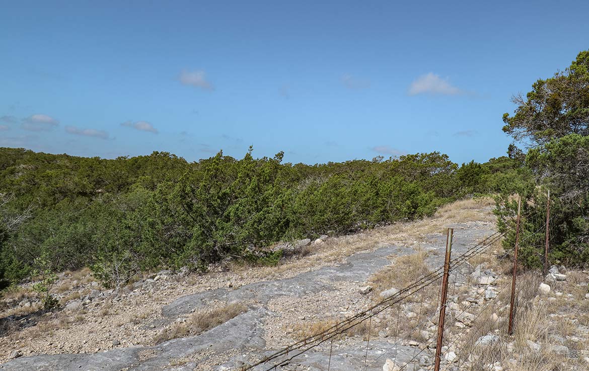 Venado Ranch 391 Acre Ranch Edwards County Image 4