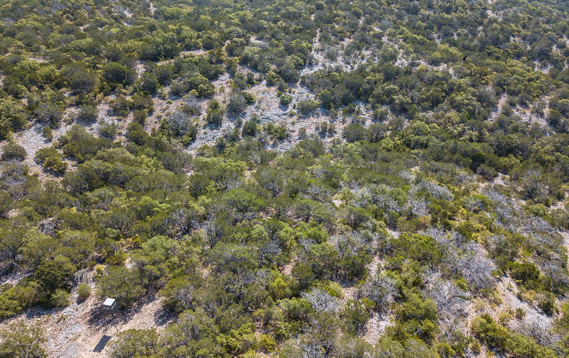 Venado Ranch 391 Acre Ranch Edwards County Image 7