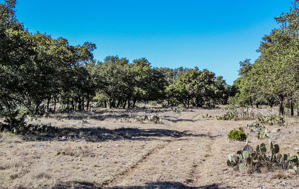 Los Encinos Ranch 68 Acre Ranch Edwards County Image 4