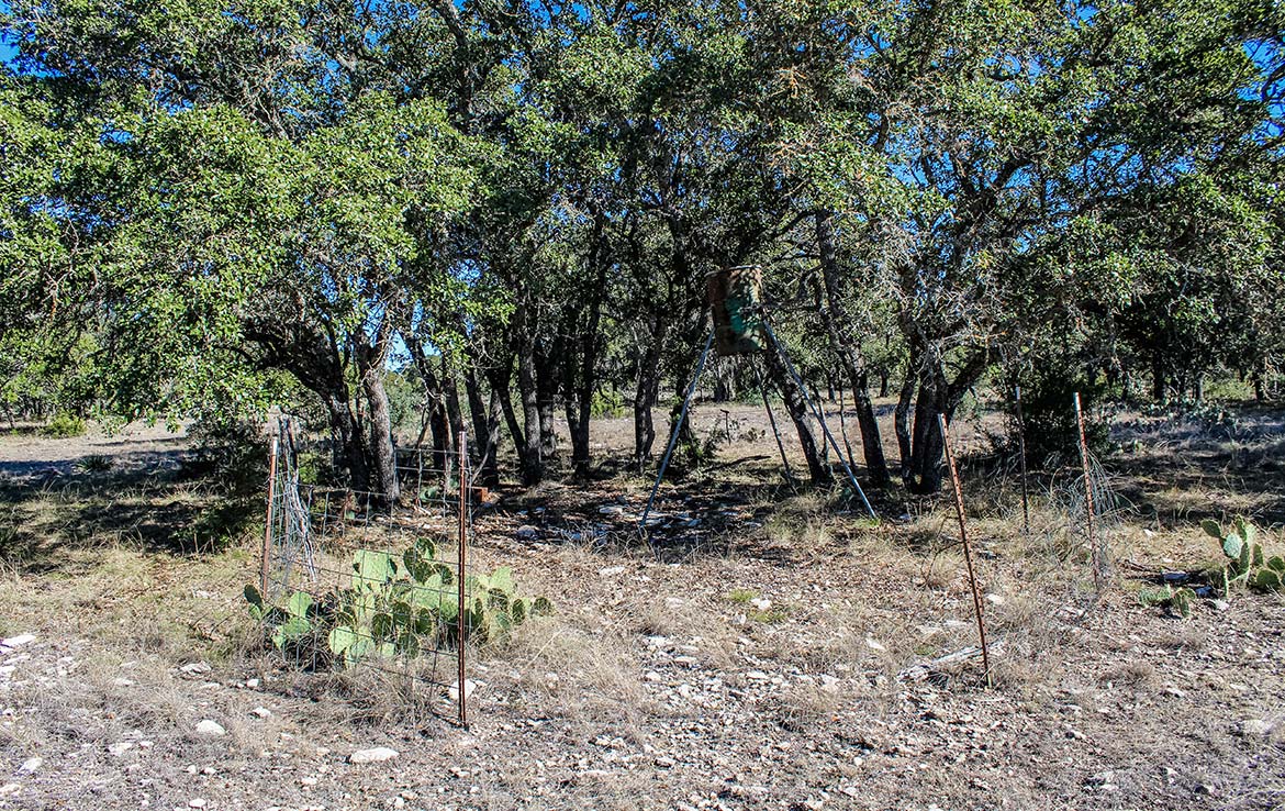 Los Encinos Ranch 68 Acre Ranch Edwards County Image 6