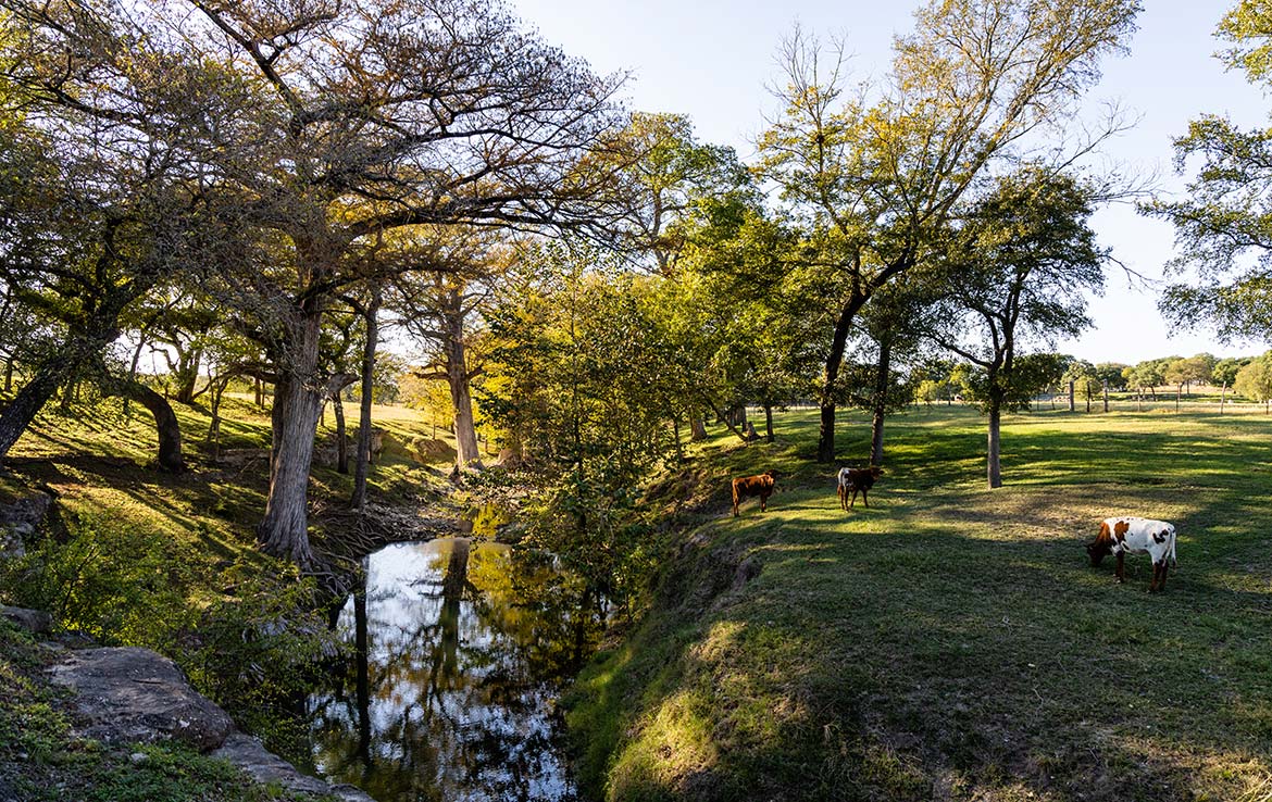 Sisterdale River Ranch 213 Acre Ranch Kendall County Image 1
