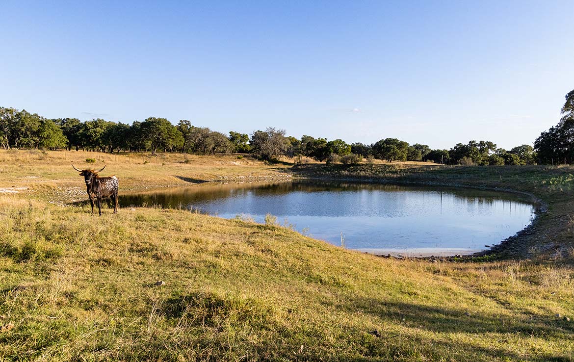 Sisterdale River Ranch 213 Acre Ranch Kendall County Image 12