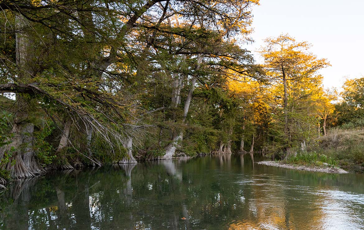 Sisterdale River Ranch 213 Acre Ranch Kendall County Image 4