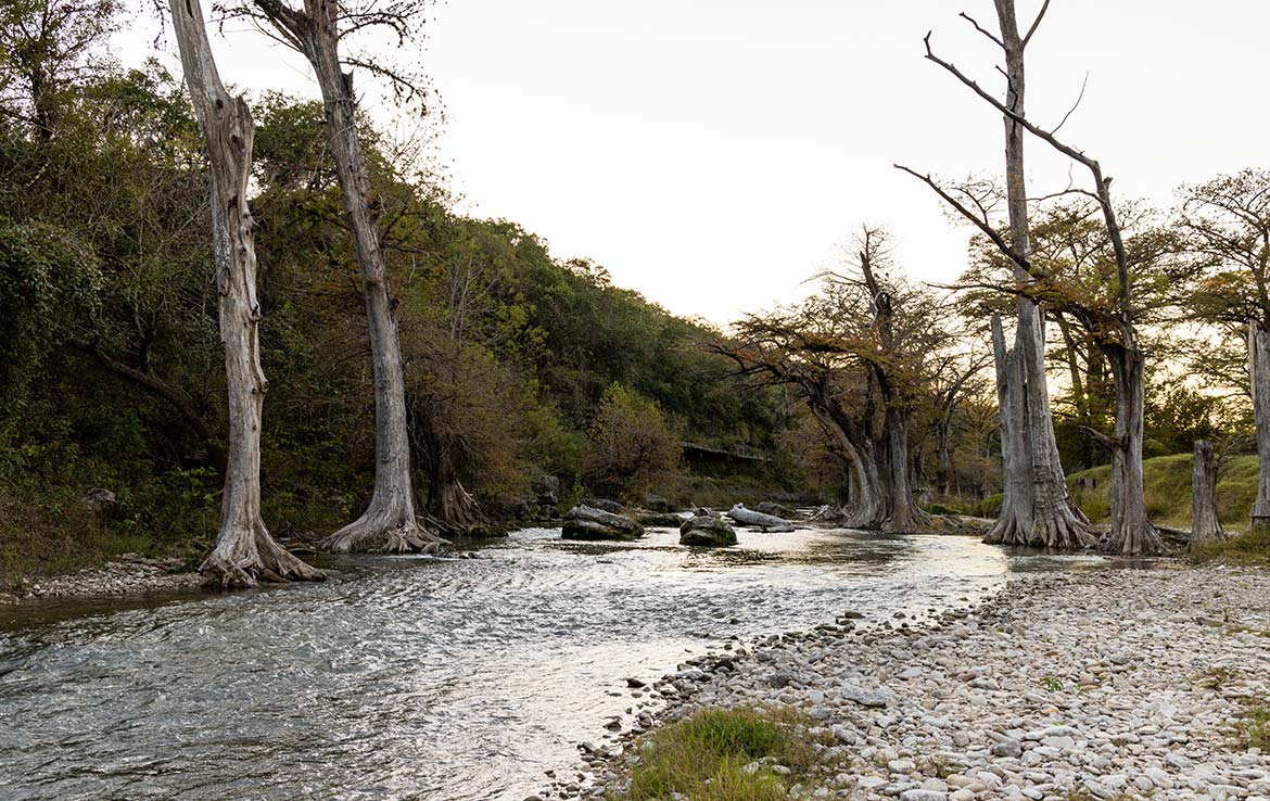 Sisterdale River Ranch 213 Acre Ranch Kendall County Image 6