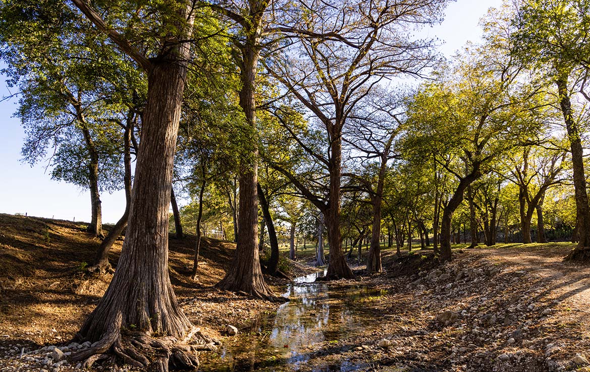 Sisterdale River Ranch 213 Acre Ranch Kendall County Image 8