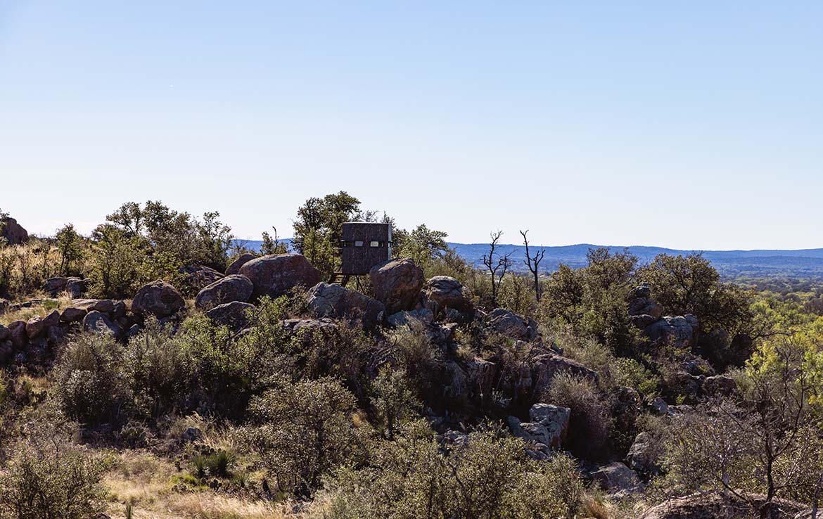 Wolf Mountain Ranch 650 Acre Ranch Llano County Image 12