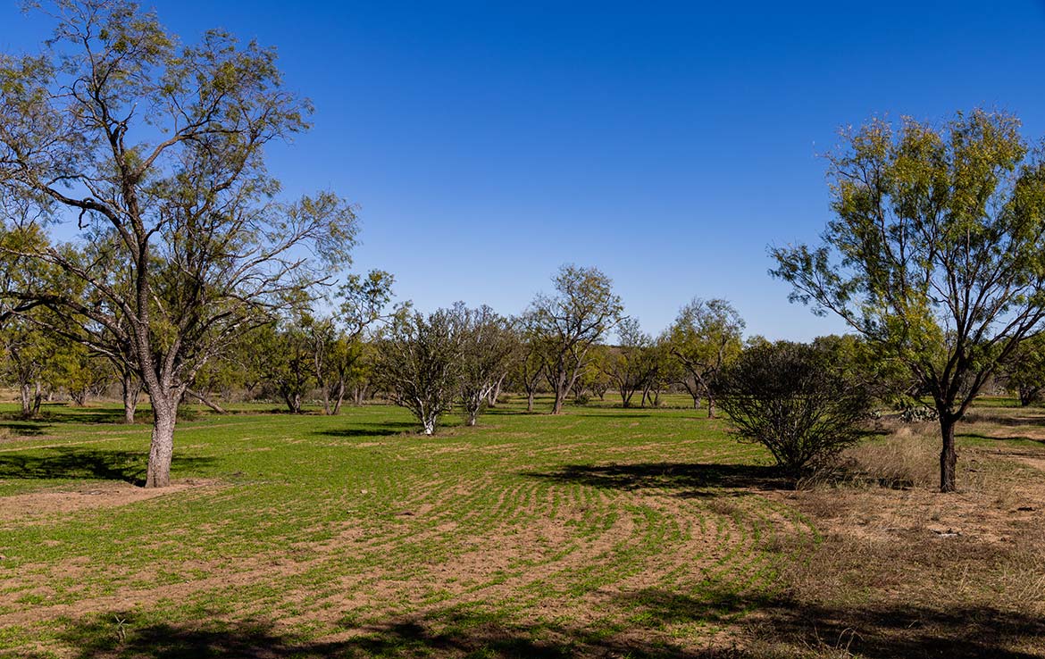 Wolf Mountain Ranch 650 Acre Ranch Llano County Image 8