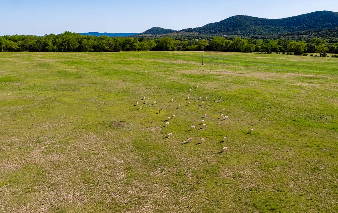 Hidden River Ranch 265 Acre Ranch Real County Image 18