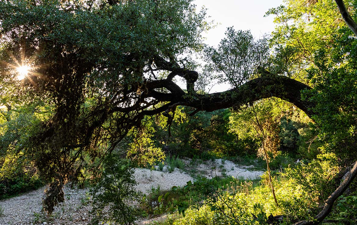 Hidden River Ranch 265 Acre Ranch Real County Image 8