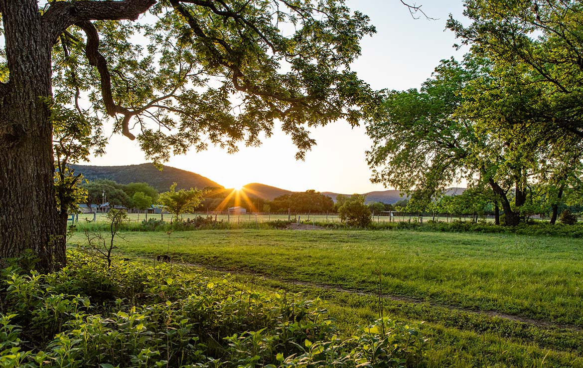 Hidden River Ranch 265 Acre Ranch Real County Image 9
