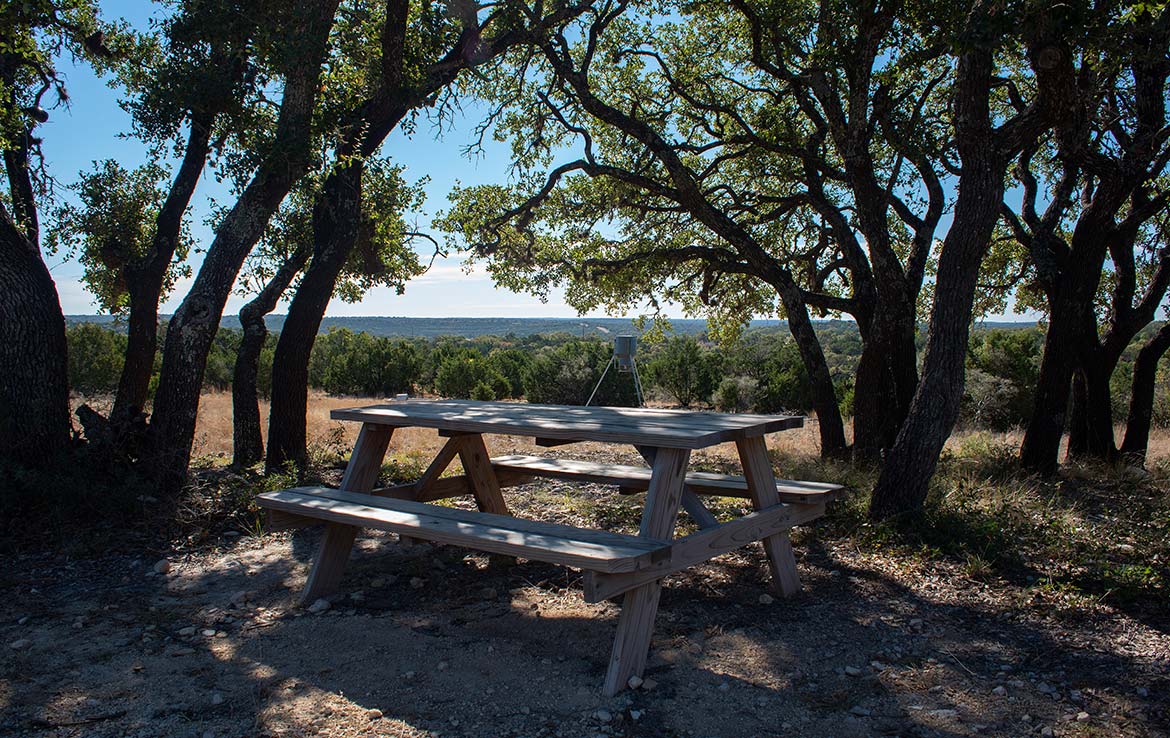 Vista Real Ranch 70 Acre Ranch Real County Image 9