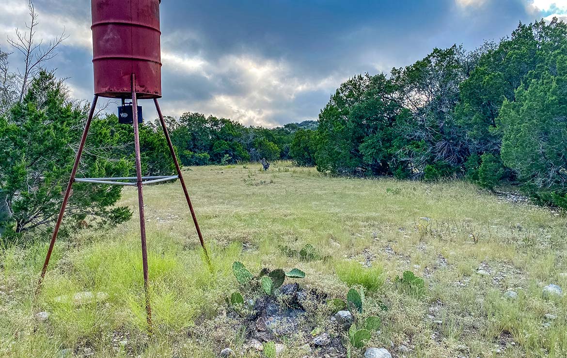Hunter’s Paradise Ranch 42 Acre Ranch Kinney County Image 10