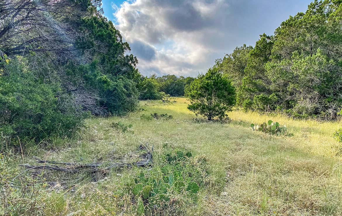 Hunter’s Paradise Ranch 42 Acre Ranch Kinney County Image 5