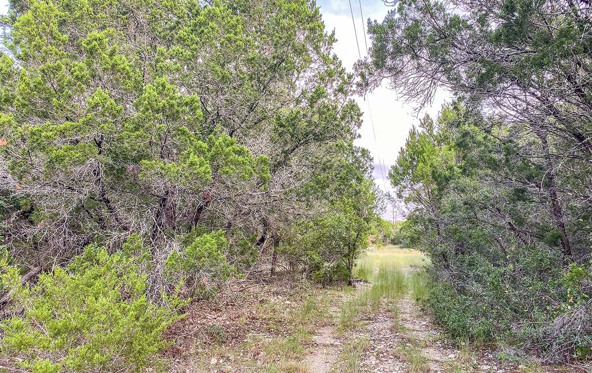 Hunter’s Paradise Ranch 42 Acre Ranch Kinney County Image 6