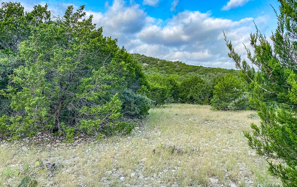 Hunter’s Paradise Ranch 42 Acre Ranch Kinney County Image 8