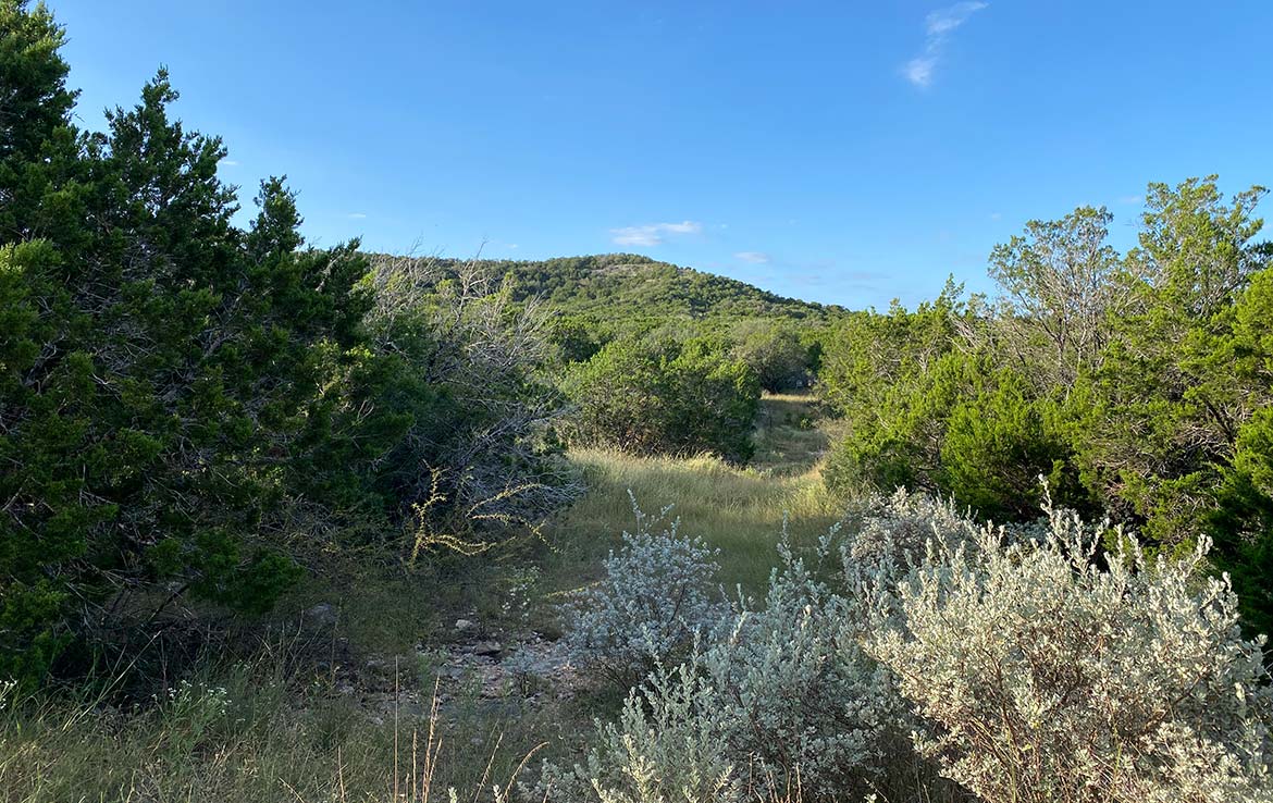 RAM Ranch 53 Acre Ranch Kinney County Image 10