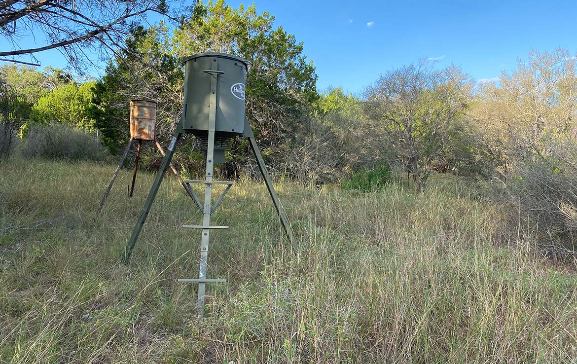 RAM Ranch 53 Acre Ranch Kinney County Image 13