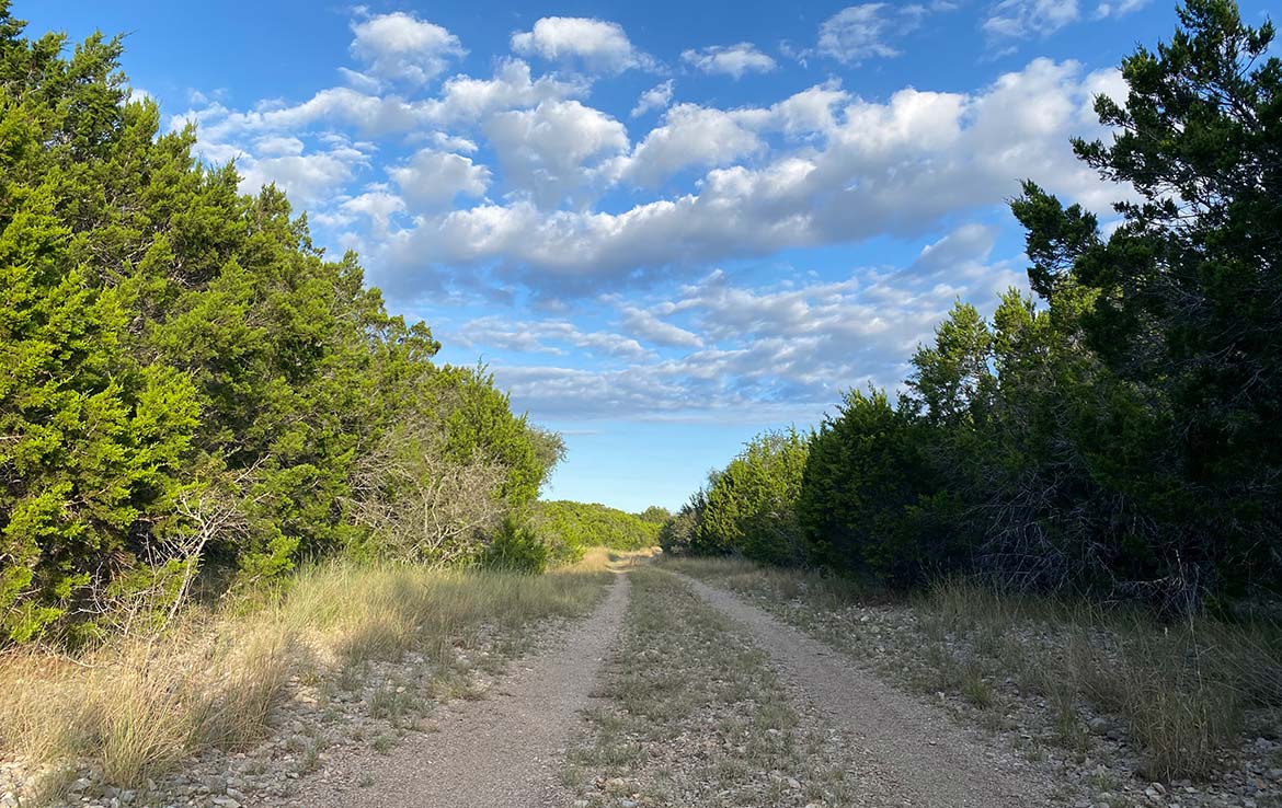 RAM Ranch 53 Acre Ranch Kinney County Image 2