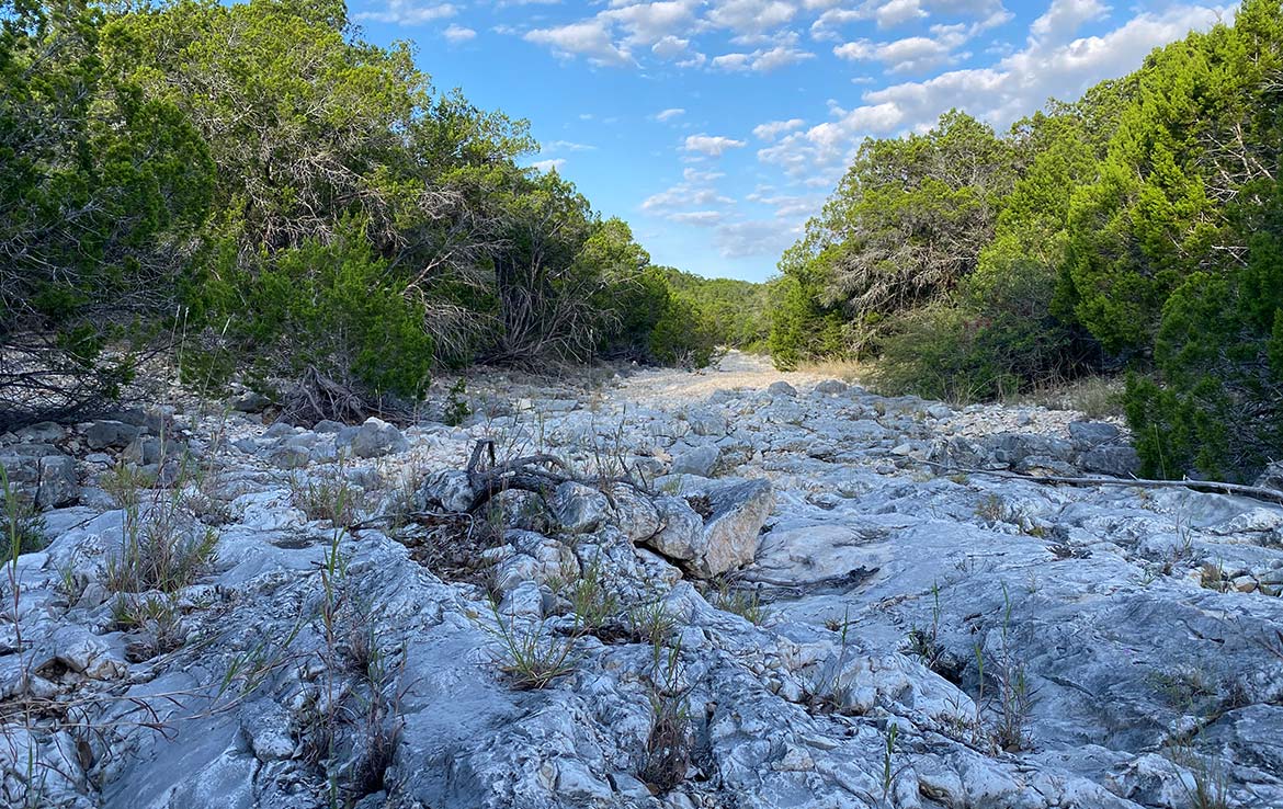 RAM Ranch 53 Acre Ranch Kinney County Image 5