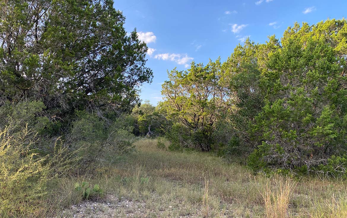 RAM Ranch 53 Acre Ranch Kinney County Image 7