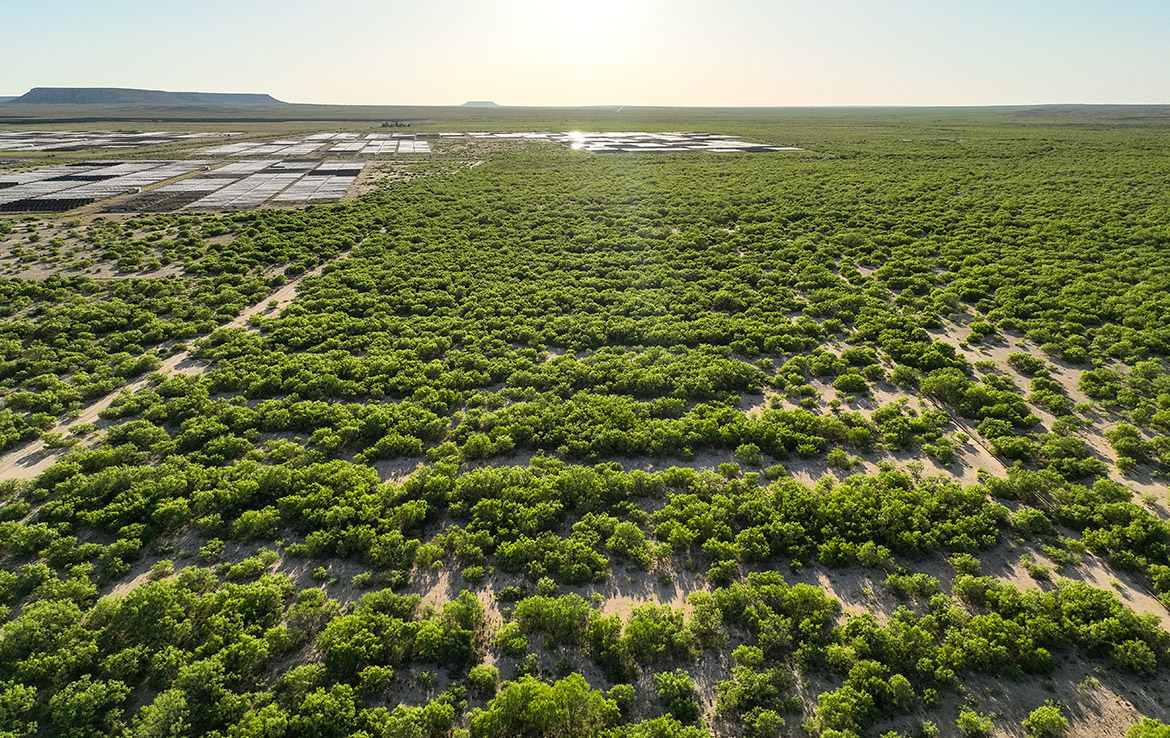Pecos River Flats 664 Acre Ranch Pecos County Image 16