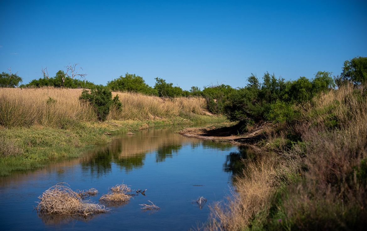 Pecos River Flats 664 Acre Ranch Pecos County Image 4