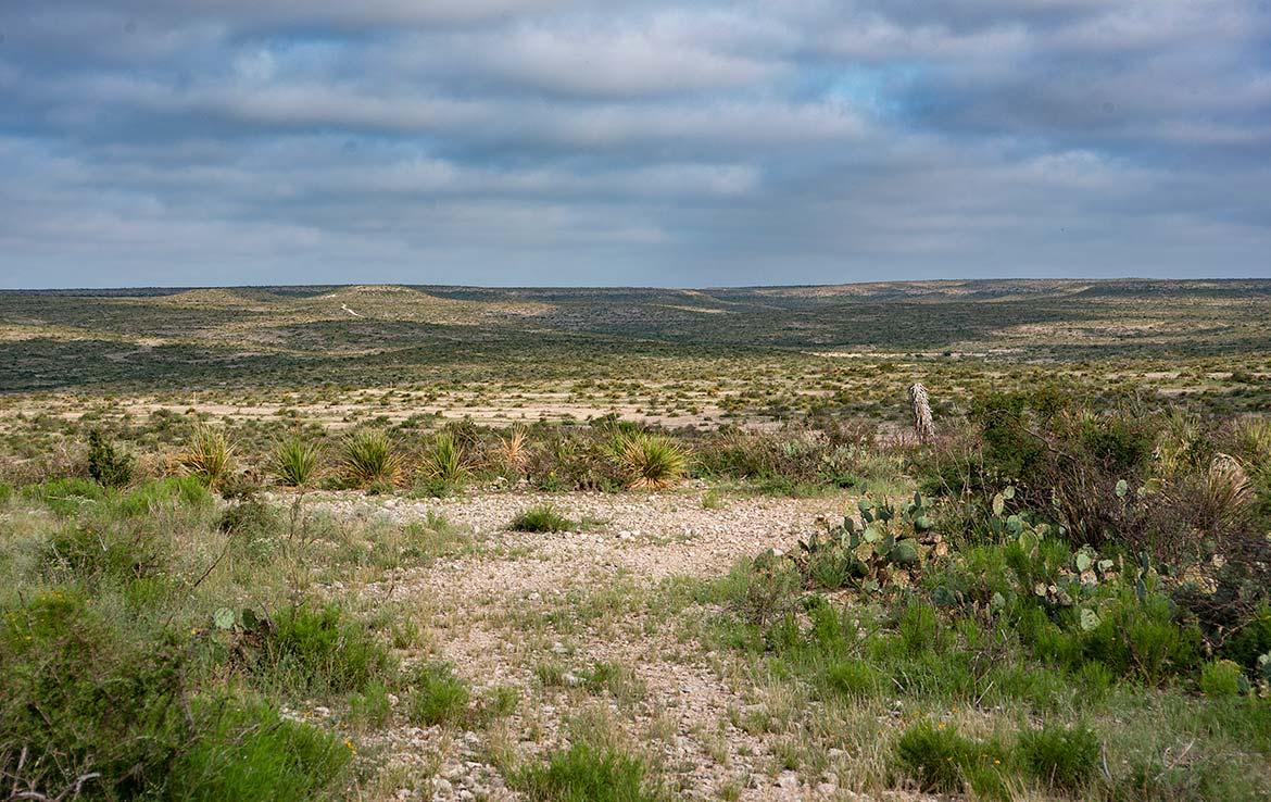 Desert Rose Ranch 1013 Acre Ranch Terrell County Image 1