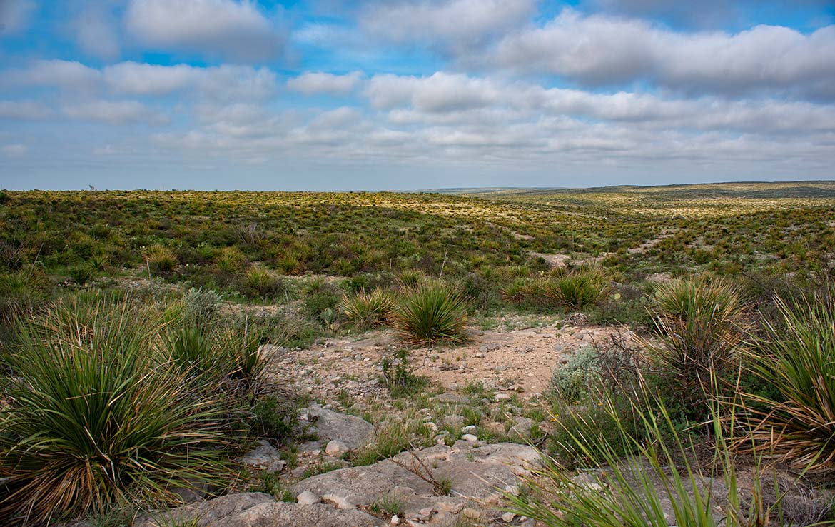 Desert Rose Ranch 1013 Acre Ranch Terrell County Image 11