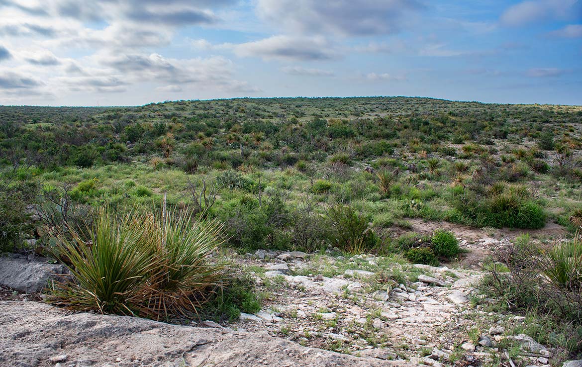 Desert Rose Ranch 1013 Acre Ranch Terrell County Image 4
