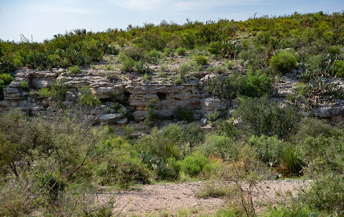 Desert Rose Ranch 1013 Acre Ranch Terrell County Image 7