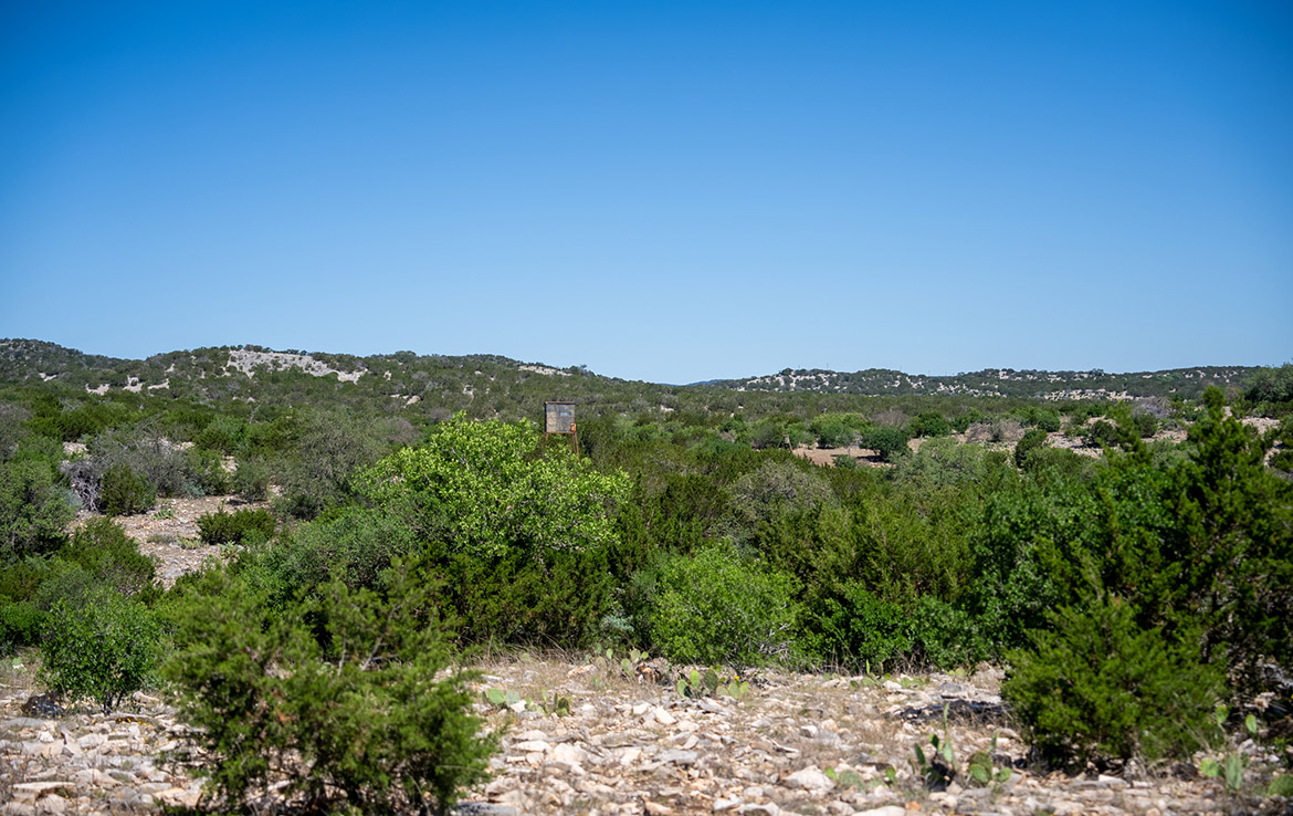 Oak Bluff Ranch 183 Acre Ranch Edwards County Image 10